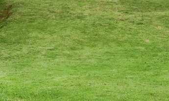 Imagem: Terreno - Umuarama