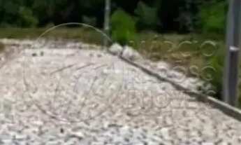 Imagem 5: Terreno 200m² - Loteamento Dom Valenthym - Paripueira / AL