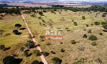 Imagem 3: Fazenda 86 Alqueires (416 Hectares) Mairipotaba - GO