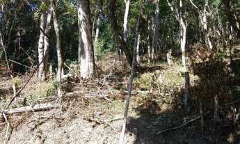 Imagem 6: Terrenao com plato 20 de entrada