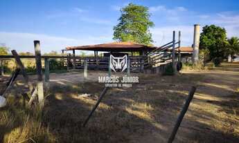 Imagem 5: FAZENDINHA DE OPORTUNIDADE DE 120 HA PLANA PARA PLANTIO OU PECUARIA NA REGIÃO DE PIRAPORA