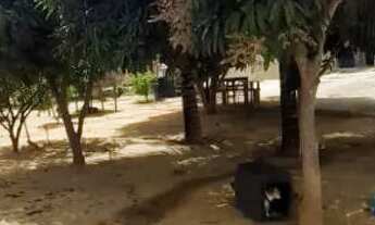 Imagem 7: Vendo 1 Casa e 1 terreno no Cidade Modelo