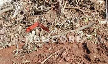 Imagem 7: Lote em Rua Nemitala - Parque São George - Cotia/SP