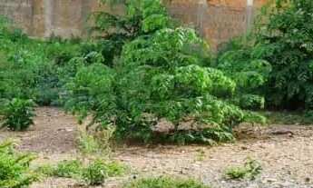 Imagem 4: Vende Terreno de 1765m para comercial ou Incorporação