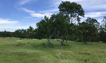 Imagem 3: TERRENO - VENDA - Condomínio Terra Selvagem Condomínio & Golf Club - Zona Rural - Cuiabá/M