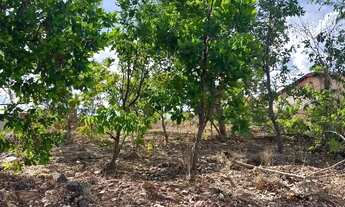 Imagem 3: Terreno à venda, 300 m², Parque Residencial Tropical Ville, próximo ao Coml Dubai, Cuiabá