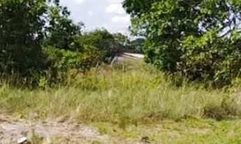 Imagem 7: Terreno para venda com 10000m², apta a financiar- Senador Hélio Campos - Boa Vista - RR