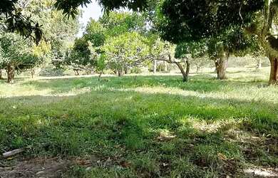 Imagem 6: Vende -se terreno Capela -Sergipe