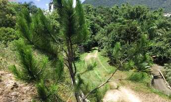 Imagem 6: Sítio - Florianópolis SC