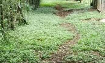 Imagem 3: Terreno 1.000 m com acesso a represa Bairro do Cuiabá