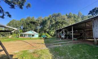 Imagem 4: Sitio - Bairro Serra Grande