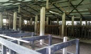 Imagem 5: Venda-se propriedade de 12 alqueires no Município de Alfredo Chaves/ES