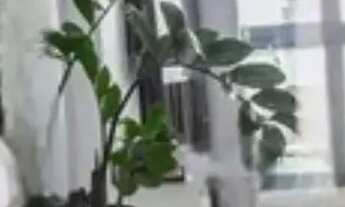 Imagem 5: RR7303 Apartamento 39m² CONDOMÍNIO COSMOPOLITAN BETHAVILLE -OPORTUNIDADE - 1 Suíte 1 Vaga