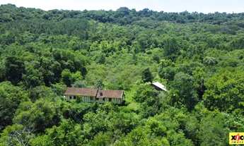 Imagem: Sítio / Chácara para Venda em Nova Petrópolis