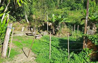 Imagem 4: Vendo pequeno sítio em Nazaré das farinha