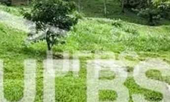 Imagem: Aldeia do Vale - Terreno Residencial