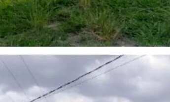 Imagem 3: Chácara em Conchas