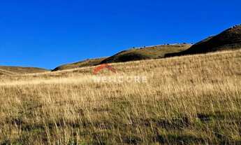 Imagem 5: Fazenda em RS 020 - Ouro Verde - Cambará do Sul/RS