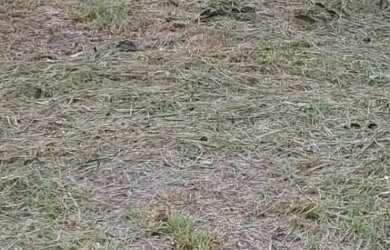 Imagem 2: TERRENO NO IRANDUBA