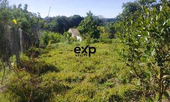 Imagem 6: Terreno à Venda- Pessegueiros