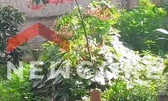 Imagem 5: Casa em Rua Perobas - Colonial - Contagem/MG