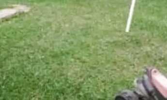 Imagem 4: Oportunidade na Hípica