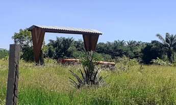 Imagem 3: Vendo Fazenda em Rorainópolis, Roraima