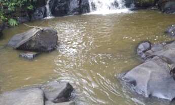 Imagem: VENDE-SE ÓTIMA FAZENDA DE PASTO COM CACHOEIRA