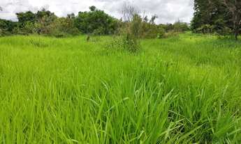 Imagem: OPORTUNIDADE. Troco Chácaras de 10.000