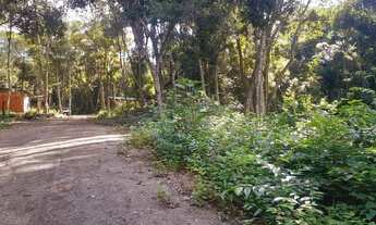 Imagem 7: Chácara à venda em Taquara com uma simples casa e poço!!