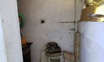 Imagem 6: Ponto comercial/Loja/Box para aluguel possui 60 metros quadrados