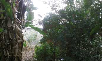 Imagem 5: Belo Horizonte - Loteamento/Condomínio - Salgado Filho