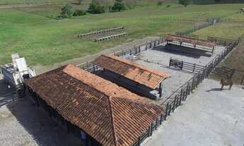 Imagem 3: Fazenda vizinha a Itabaiana - Se