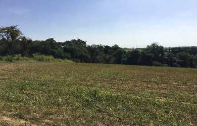 Imagem 4: Porto Feliz-Sp, Sitio 5 Alqueires