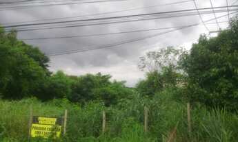 Imagem 2: Vendo Terreno de 960m² no Mato Alto