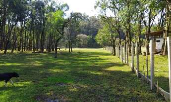 Imagem 7: Chácara Campo Magro 43.076m², plano, rio, prox. Morro Palha, casa c/ salão, 20Km Santa Fel