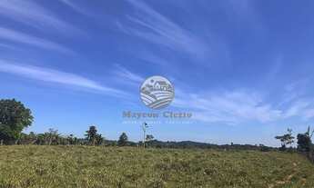 Imagem 6: Machadinho D'Oeste - Sítio - 22 alqueires