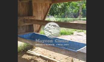 Imagem 3: Vale do Anari - Sítio - 20 Alqueires terra Roxa