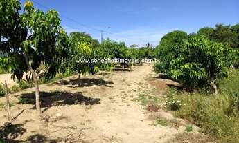 Imagem 7: Área no Xuri com 43.000 (quarenta e três mil metros) a 100 metros da 388 e a 25km do centr