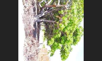 Imagem 2: Terreno Boa Localização