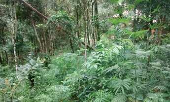 Imagem 4: Nova Lima - Loteamento/Condomínio - Pasárgada