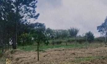 Imagem 7: Traga o seu projeto venha