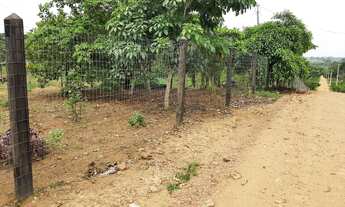 Imagem 4: Chácara a venda ou troca em veículo