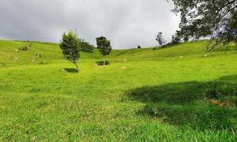 Imagem 2: Sítio para Venda, Silvas