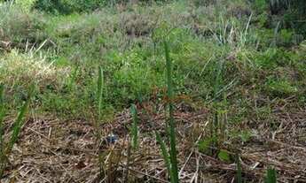 Imagem 4: Localização Privilegiada próximo a entrada de Camboinhas!!!Terreno à venda, 450 m² por R