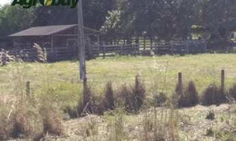 Imagem 2: Fazenda Com 600 Alqueires Localizada em Peixe to