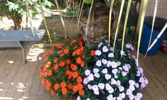 Imagem: Sítio rtegião Igarapé