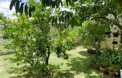 Imagem 3: Casa para aluguel com 317 metros quadrados com 3 quartos