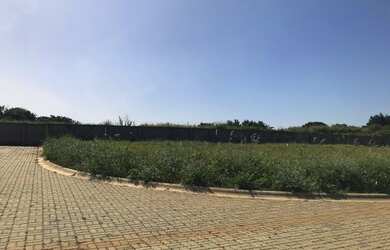 Imagem 7: Lote/Terreno para venda possui 250 metros quadrados