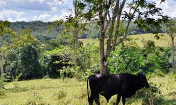 Imagem 5: Oportunidade. Terrenos 20.000m² Terra Boa e Lagoa nos Fundos